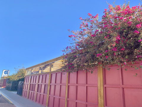 Opal Inn Hotel, Motel, Caravan Park - Perths Hotel 39