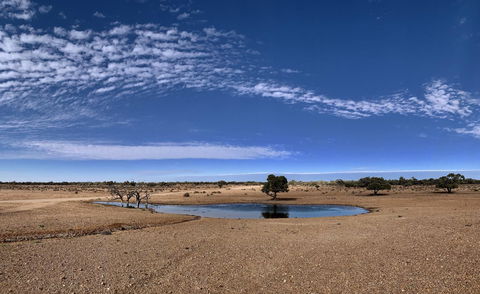 Opal Inn Hotel, Motel, Caravan Park - Perths Hotel 10