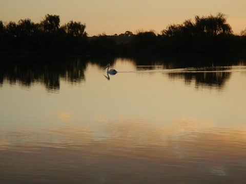 Washpool Retreat - Perths Hotel 25