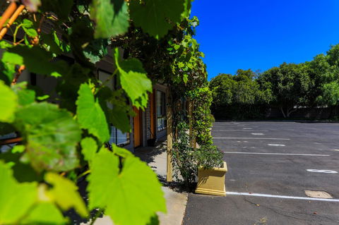 Country Roads Motor Inn Naracoorte - Perths Hotel 16