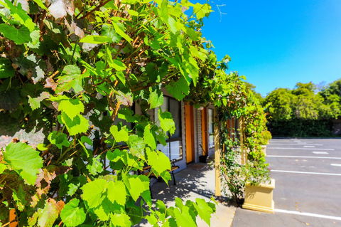 Country Roads Motor Inn Naracoorte - Perths Hotel 18