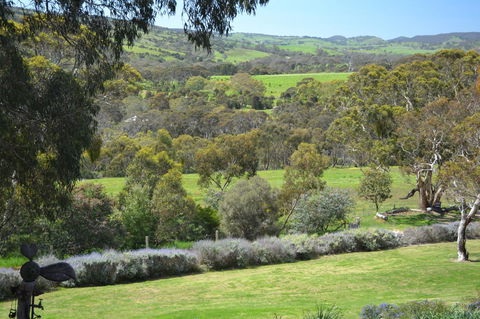 Cabernet Cottage - Perths Hotel 10