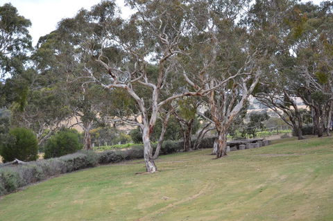 Cabernet Cottage - Perths Hotel 8