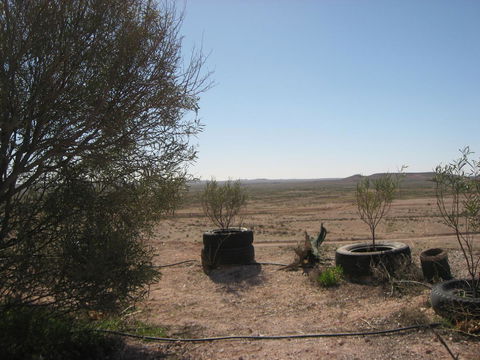 Venushill B+B - Perths Hotel 32