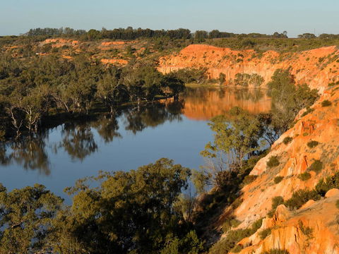 Echo Holiday Parks - Renmark - Perths Hotel 11