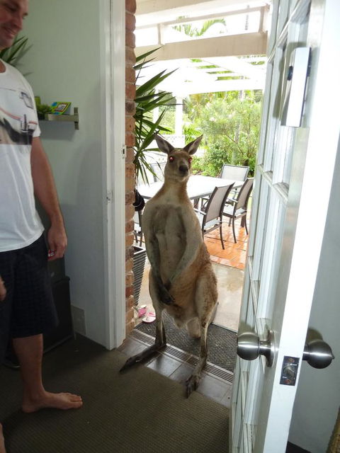Aston Motel Yamba - Perths Hotel 10