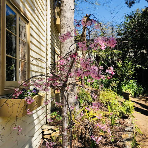 Aldgate Creek Cottage Bed And Breakfast - Perths Hotel 19