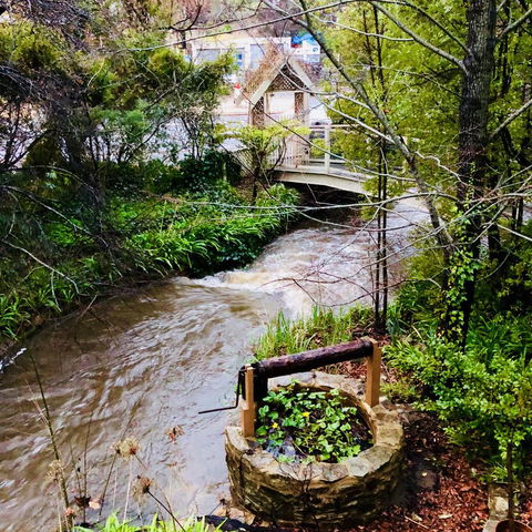 Aldgate Creek Cottage Bed And Breakfast - Perths Hotel 23