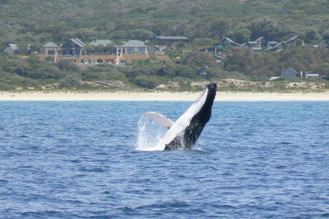 Pullman Bunker Bay Resort Margaret River - Perths Hotel 25