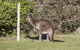 Chandlers Smiths Beach Villas - thumb 15