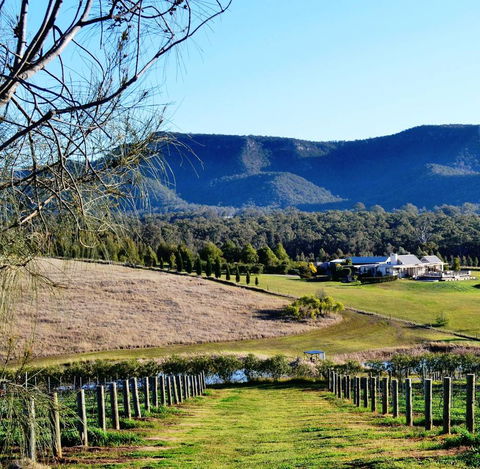 Grapevines Boutique Accommodation - Perths Hotel 5