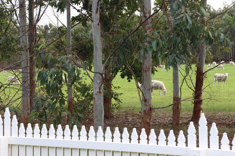 Sapphire Chalets, Augusta - Perths Hotel 9