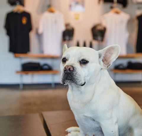 Nomads Byron Bay Backpackers - Perths Hotel 24