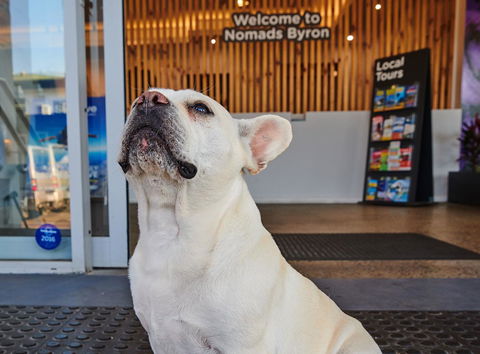 Nomads Byron Bay Backpackers - Perths Hotel 22