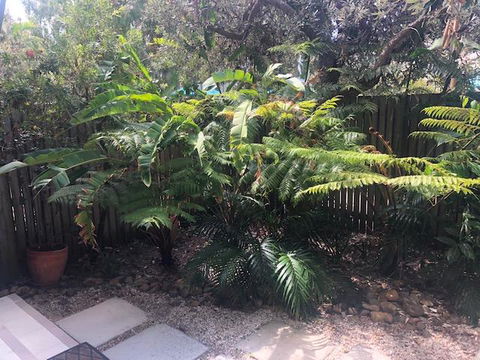 East On Byron - Perths Hotel 40