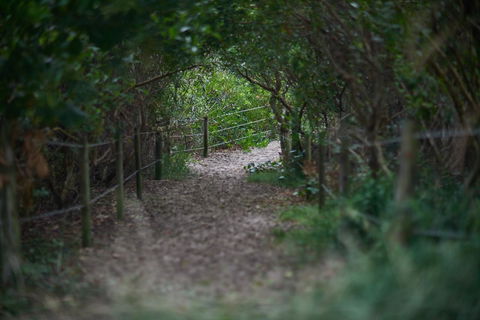 Ingenia Holidays Byron Bay - Perths Hotel 15