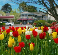 Nesuto Leura Gardens formerly Waldorf Leura Gardens Resort - Perths Hotel