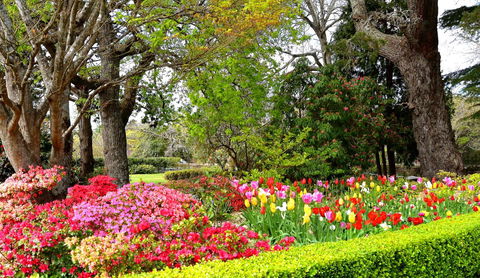 Nesuto Leura Gardens (formerly Waldorf Leura Gardens Resort) - Perths Hotel 8