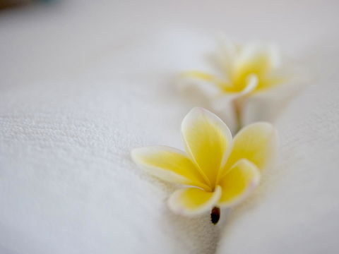 Cossies By The Sea - Perths Hotel 16