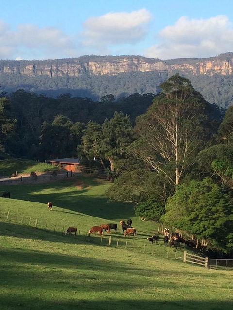 Amaroo Valley Springs - Perths Hotel 0