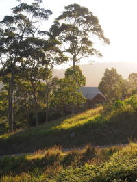 Book Bawley Point Accommodation Vacations Perths Hotel Perths Hotel