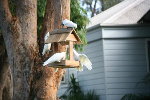 Huskisson Holiday Motel Cabins - Perths Hotel 29