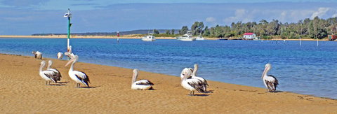 Pelican Motor Inn - Perths Hotel 29