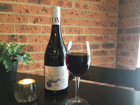 Bega Downs Motor Inn - Perths Hotel 11