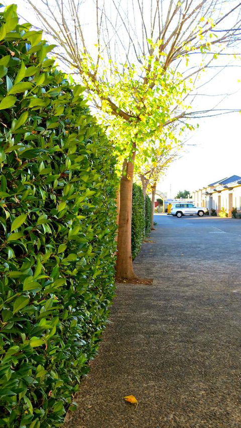 Best Western Plus Goulburn - Perths Hotel 37