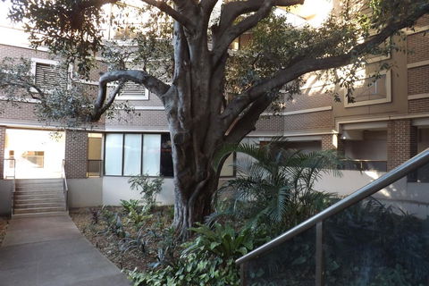 Fiori Apartments - Perths Hotel 32