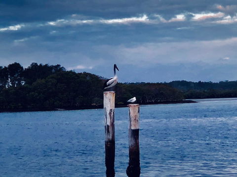 Boathouse Resort (Water Front) - Perths Hotel 15