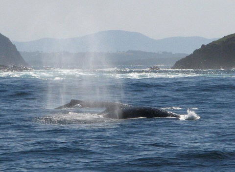 Boathouse Resort (Water Front) - Perths Hotel 26