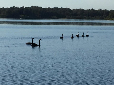 Swan Bay Hideaway - Perths Hotel 7