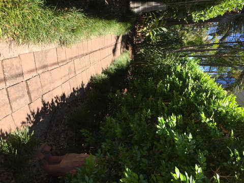 Swan Bay Hideaway - Perths Hotel 6