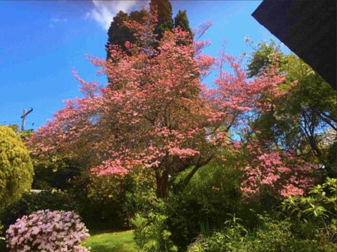 Dangal Gardens - Perths Hotel 27