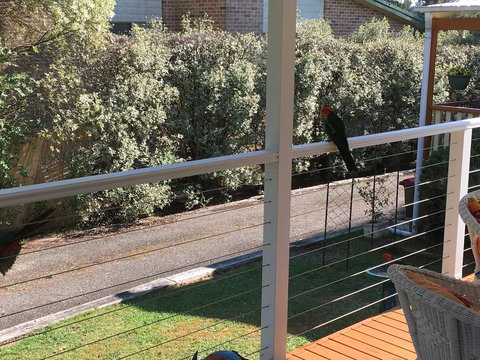 The Best Exotic Magnolia Cottage - Perths Hotel 15