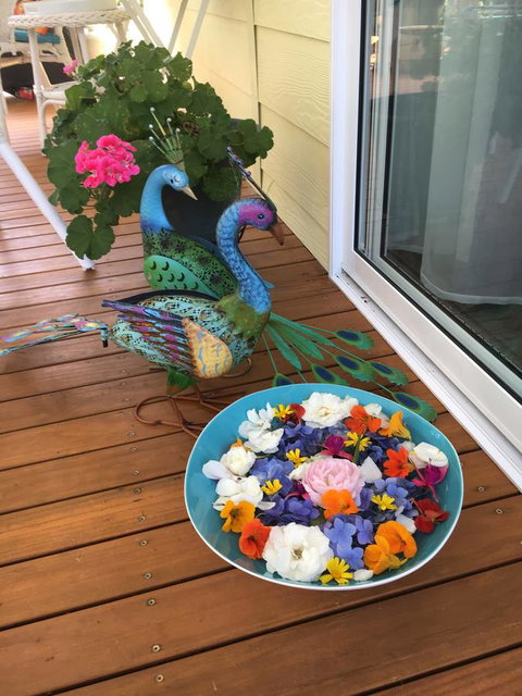 The Best Exotic Magnolia Cottage - Perths Hotel 8