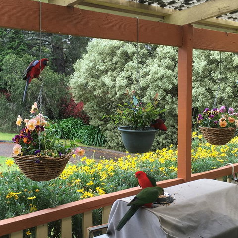 The Best Exotic Magnolia Cottage - Perths Hotel 33