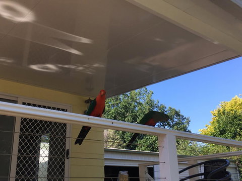 The Best Exotic Magnolia Cottage - Perths Hotel 11