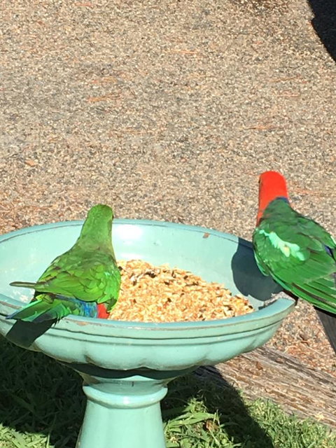 The Best Exotic Magnolia Cottage - Perths Hotel 12