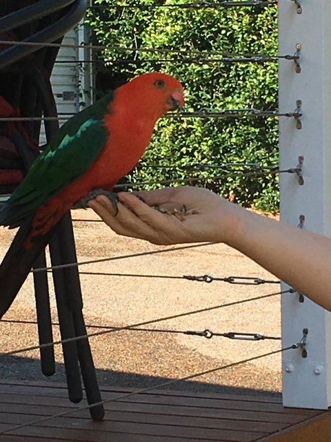 The Best Exotic Magnolia Cottage - Perths Hotel 13