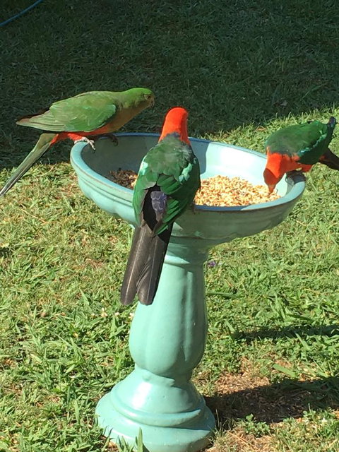 The Best Exotic Magnolia Cottage - Perths Hotel 10