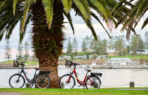 Belle Vue- Penthouse At Black Beach - Perths Hotel 8
