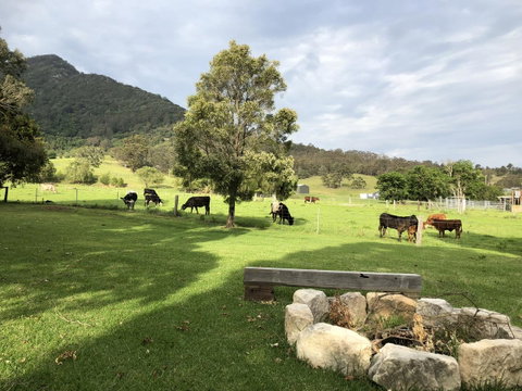 Arcadia - The Barn Cottage & Rosehill Cottage - Perths Hotel 29
