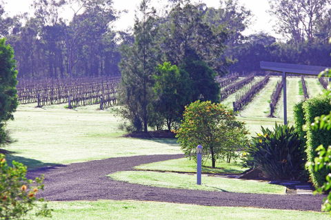 Adina Vineyard - Perths Hotel 14