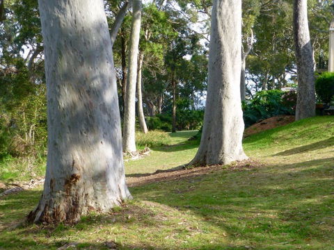 The Retreat At Palm Beach - Perths Hotel 4