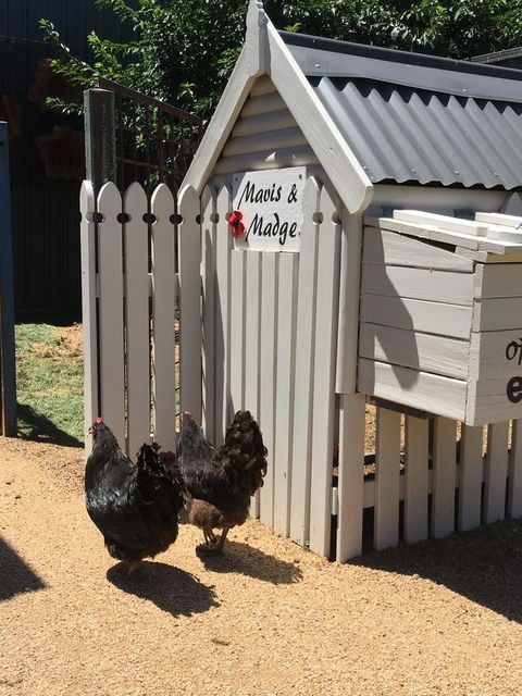 Thelma's Temora - Perths Hotel 12