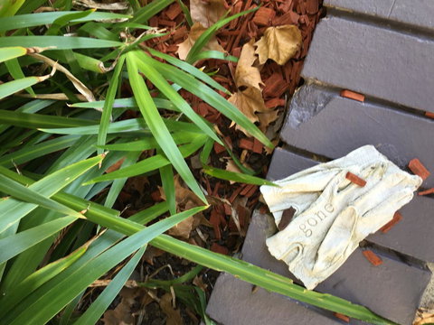 Quest St Leonards - Perths Hotel 22