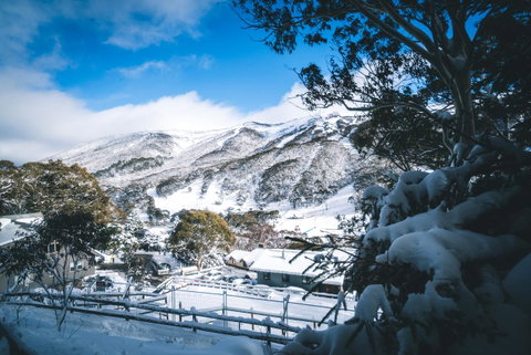 Pure Chalet Thredbo - Perths Hotel 31