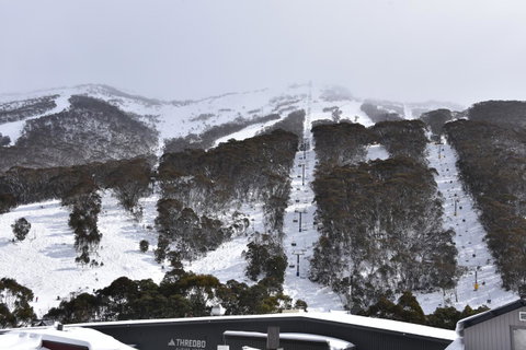 Pure Chalet Thredbo - Perths Hotel 6